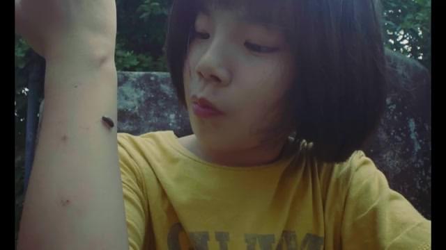 超特報「あみ子、だんご虫をさわる。」