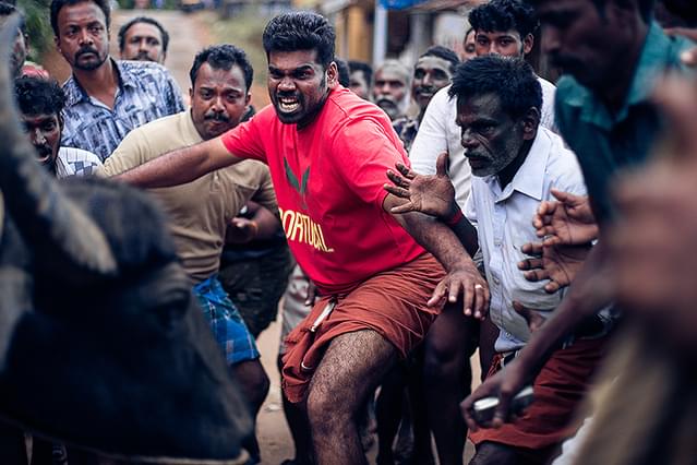 ジャッリカットゥ 牛の怒り