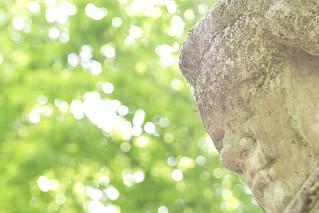 地球交響曲 ガイアシンフォニー 第九番