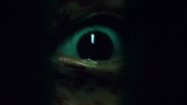 超特報6秒：目玉編