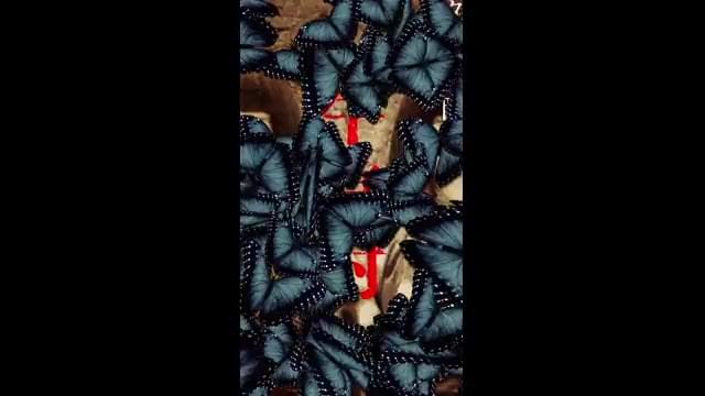 ティザーチラシ6秒