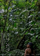 カナルタ 螺旋状の夢