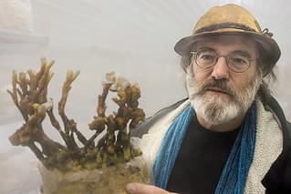 素晴らしき、きのこの世界の予告編・動画