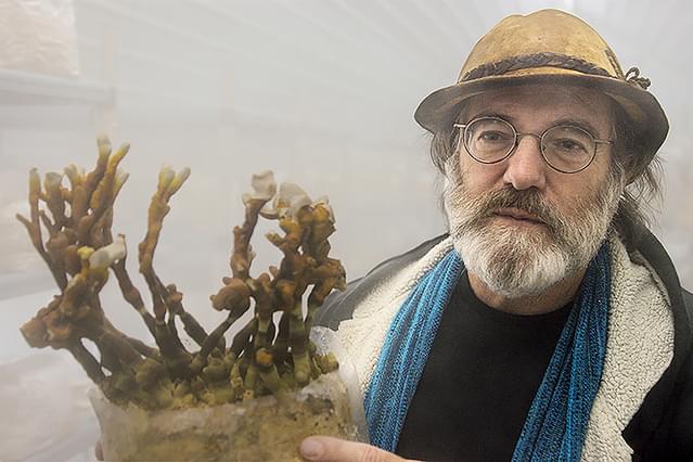 素晴らしき、きのこの世界