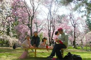 焼け跡クロニクル