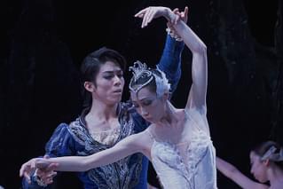 白鳥の湖 in Cinema
