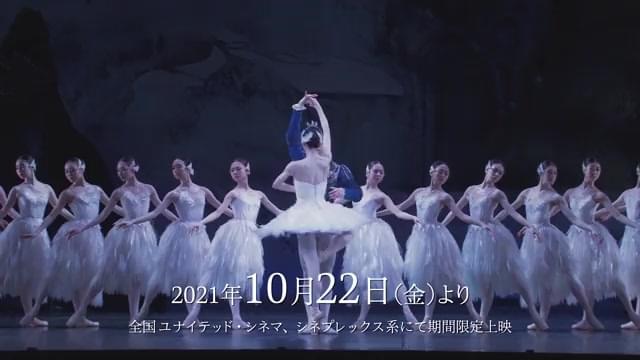 予告編（15秒）