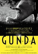 GUNDA グンダ