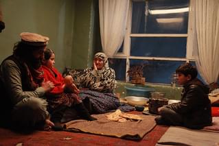 ザクロが遠吠えする頃