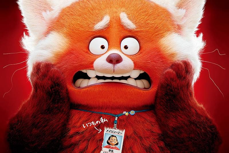 私ときどきレッサーパンダ : 作品情報・声優・キャスト・あらすじ