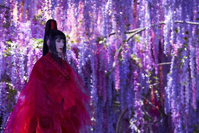 柴咲コウの「ホリック xxxHOLiC」の画像