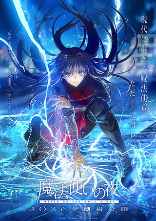 【値下げ】魔法使いの夜 PC版 中身未開封 魔法使いの夜 : 作品情報・声優・キャスト・あらすじ - 映画.com