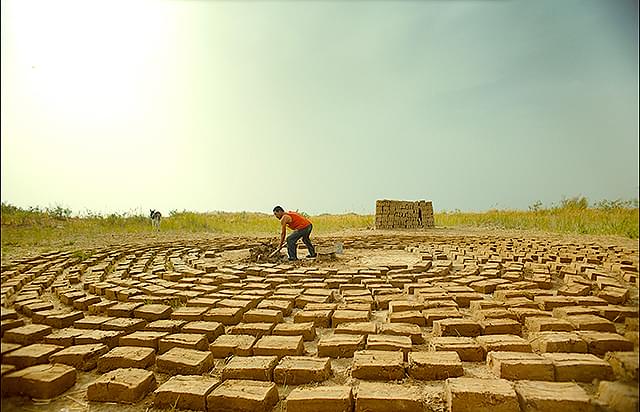 ウー・レンリンの「小さき麦の花」の画像