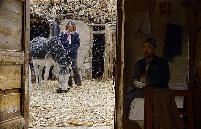 ウー・レンリンの「小さき麦の花」の画像