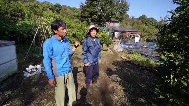 本編映像：いいふうふ編