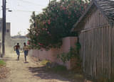 画像15