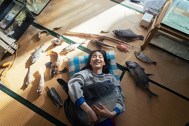 のんの「さかなのこ」の画像