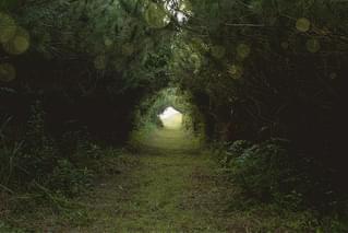 みちのみちのり