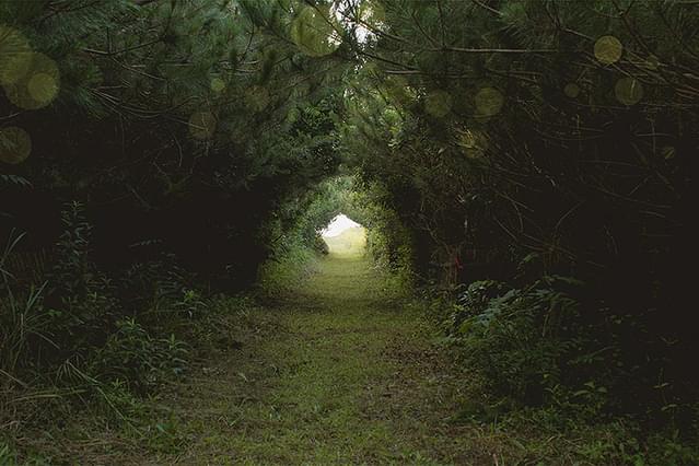 みちのみちのり