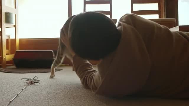 ショート予告：猫もイケメンに癒される編