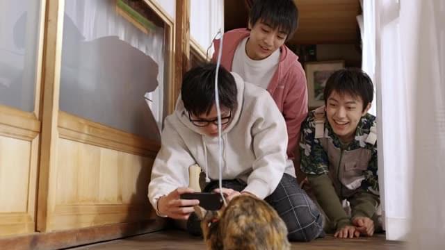 ショート予告：猫に癒されるイケメン編