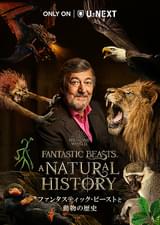 ファンタスティック・ビーストと動物の歴史