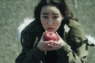 リンゴをかじる女、風を売る男