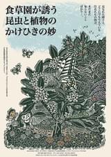 食草園が誘う昆虫と植物のかけひきの妙