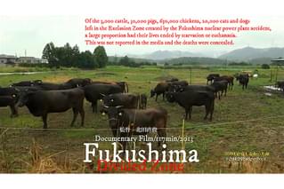 ZONE 存在しなかった命