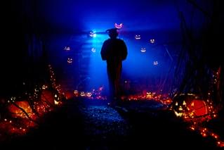 ハロウィン・ナイト