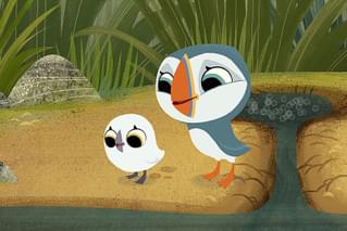 パッフィン・ロック