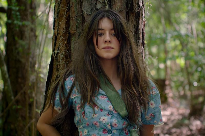 ザリガニの鳴くところ : 作品情報・キャスト・あらすじ - 映画.com