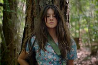 ザリガニの鳴くところ