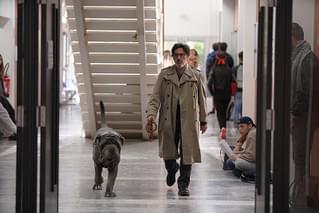 マイ・ドッグ・ステューピッド