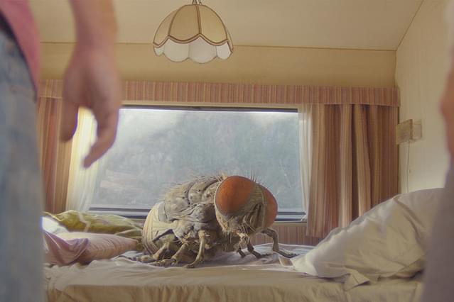 マンディブル 2⼈の男と巨⼤なハエ