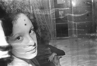 美と殺戮のすべて