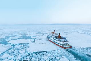 東京流氷 COOL IT DOWNの予告編・動画