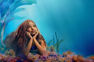 リトル・マーメイドの特集