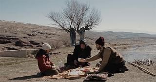 葬送のカーネーション