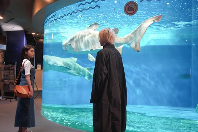 土屋太鳳の「マッチング」の画像