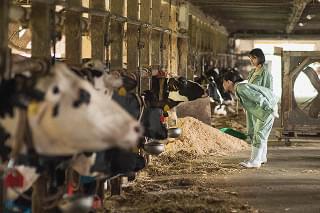 17歳は止まらない