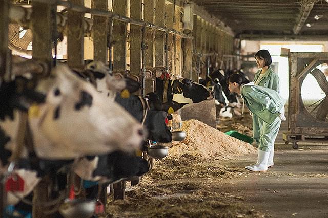 片田陽依の「17歳は止まらない」の画像