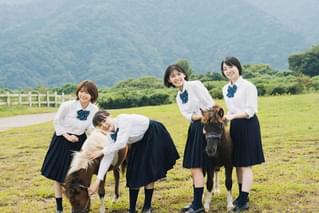 17歳は止まらないの予告編・動画