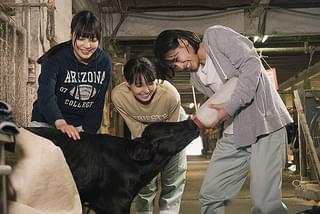 17歳は止まらない