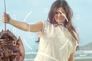 キラーカブトガニ