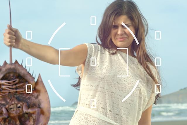 キラーカブトガニ