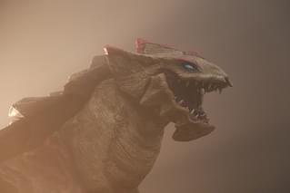 HOSHI 35 ホシクズ