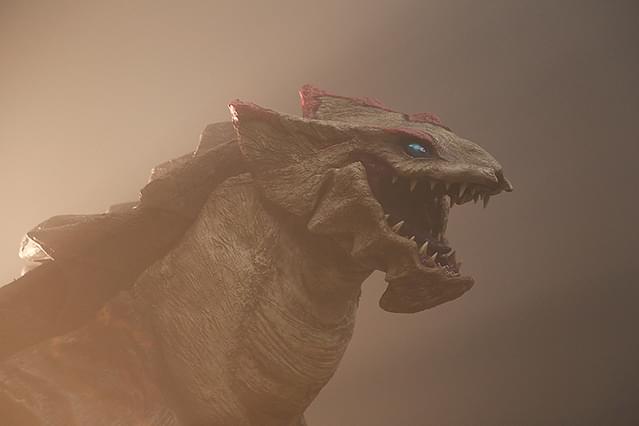 HOSHI 35 ホシクズ