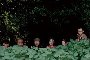 クモとサルの家族の予告編・動画