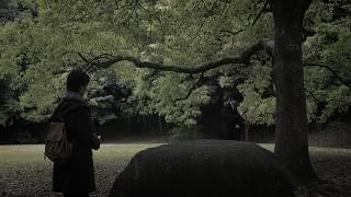 私はどこから来たのか、何者なのか、どこへ行くのか、そしてあなたは…